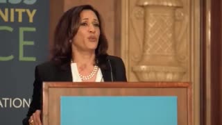 VP Harris Perfectly Describes the People Who Voted for Her