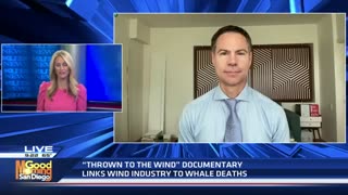 New documentary 'proves' building offshore wind farms does kill whales