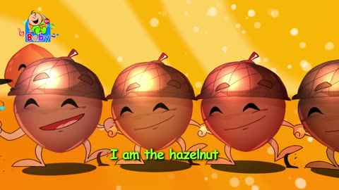 The Hazelnut - Toyor Baby English