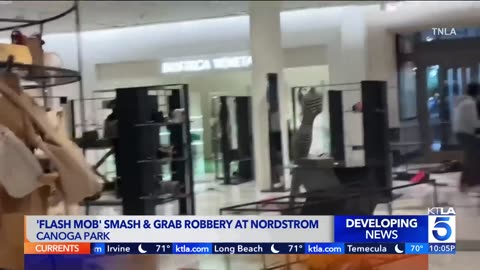 A gang of criminals destroyed a Nordstrom store in a mall in California yesterday 193 7