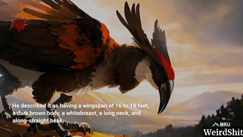 THE MYSTERY OF THE GIANT HORNBILL ENCOUNTERED IN NEW GUINEA