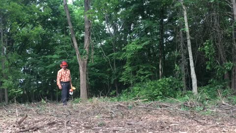 Northern Kentucky Project: Using Buffer Trees and Walking a Tree Down