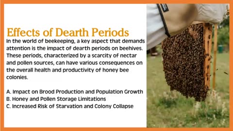 What is a Dearth Period in Beekeeping