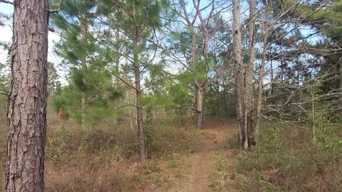 Santos to Baseline Park Bike Trail Hike in Central Florida