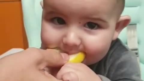 Baby eating Lemon for the first time #4