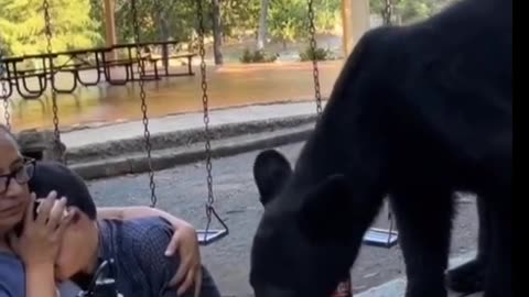 Black Bear interrupts family picnic😂🐻👍