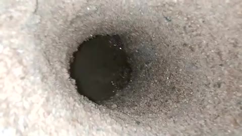 New Hole found at my place.. what it is guess?🤔