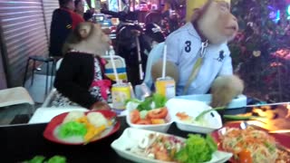 Pareja de monos disfruta de una noche en el restaurante