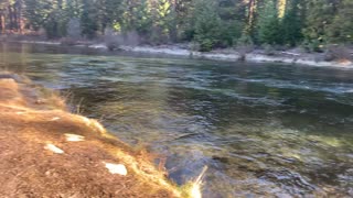 World Famous Fly Fishing Area – Metolius River – Central Oregon