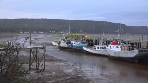 Canada Nova Scotia New Yarmouth Low Tide Boats Along Dock With Tidal Stream