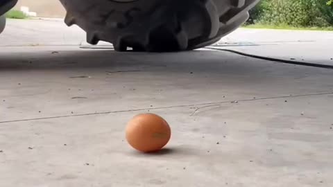 Tyer passing egg