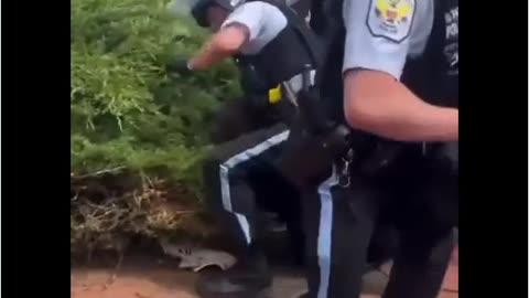 Protestors Attack Police Near the Capitol on July 2024