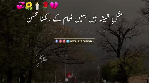 Misal e Sheesha Hein | Urdu Poetry | Status Video | Youtube Video