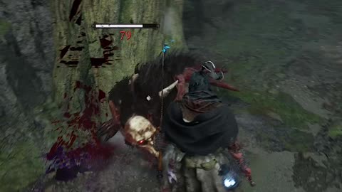 Trying to take my kill!!! Lords of the Fallen