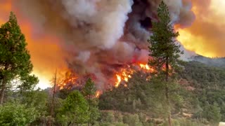 Oak Fire reaches California's Sierra National Forest