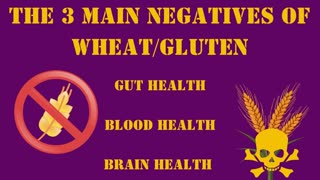 The 3 Main Negatives of GLUTEN and WHEAT