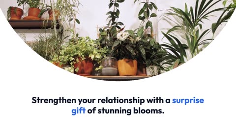 Why Should You Choose Same-Day Flower Delivery