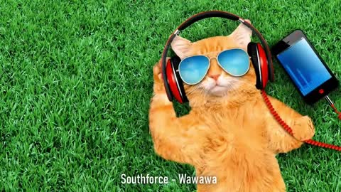 southforce wawawa / singing cat