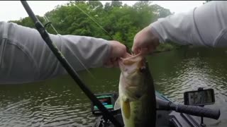 Bass caught on River