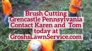 Brush Cutting Greencastle Pennsylvania Brush Removal