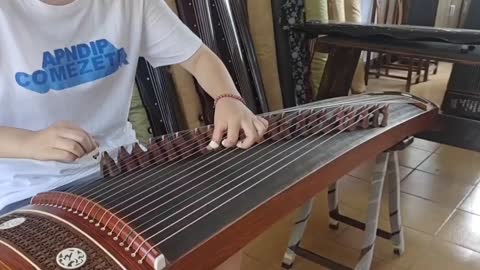 Entry level guzheng
