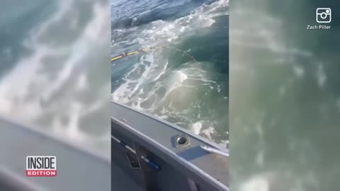 Whale Jumps Out of Water and Shocks Father and Son