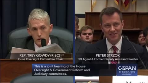 Flashback: Trey Gowdy and FBI Deputy Assistant Director Peter Strzok