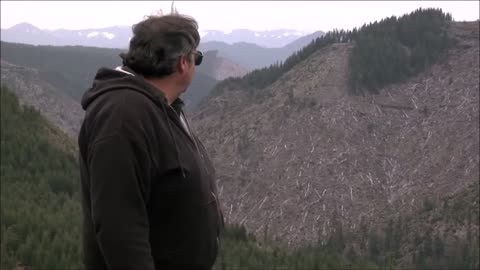 Logger comments on Deforestation and Environmentalists