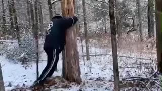 Person Pushes Tree, Tree Pushes Back