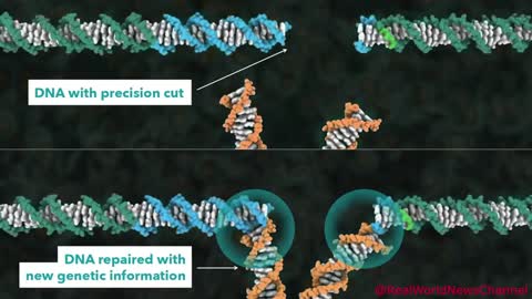 HOW CRISPR WILL CHANGE YOUR DNA LIKE RE WRITING A COMPUTER