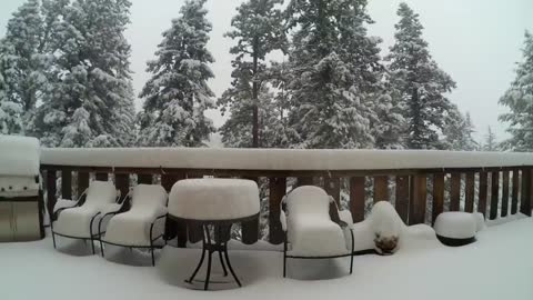 Four Feet of Snow Time Lapse in Evergreen Colorado - April 2016