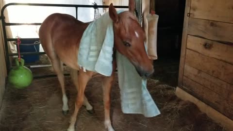 Towel time