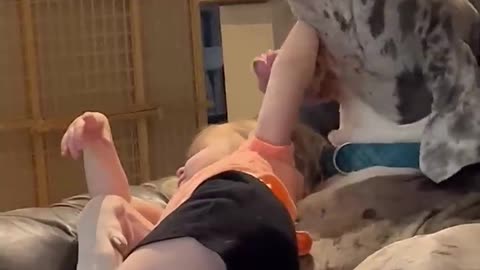 Little Girl Messes with Adorably Big Pup!