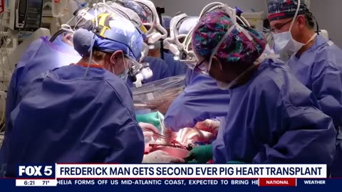 PIG HEART TRANSPLANT! Frederick man gets second ever pig heart transplant