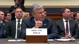 Rep. Troy Nehls DESTROYS Chris Wray - Catches Him in Lies on Child Sex Trafficking! - RAY EPPS!