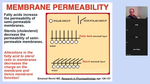 Health Alkemy's MasterMind Group March 27 2023 Part 1 Silent Inflammation