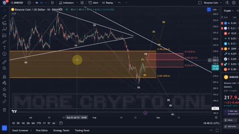 Binance Coin BNB Price News Today - BNB Technical Analysis Update Now and Price Prediction!