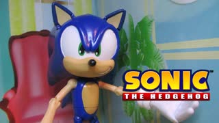 Welcome to Sonic X Randomness!