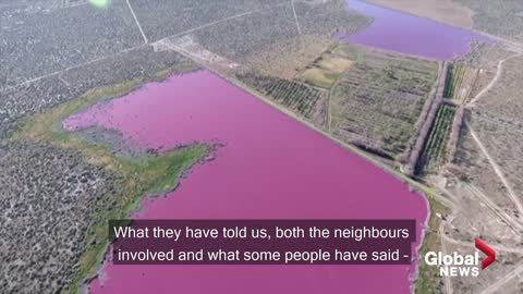 Why have two Argentina lakes turned pink? Environmentalists say it is because of pollution