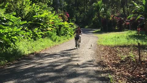 First-Time Bike Ride Ends in Bushes