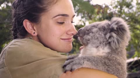 Most adorable Koala Joey loves cuddles