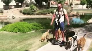 Guy uses hoverboard to walk 7 dogs with ease