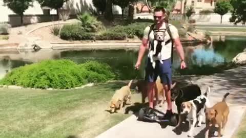 Guy uses hoverboard to walk 7 dogs with ease