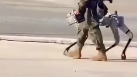 Soldato Cinese porta a spasso "Cane Robot armato con mitragliatrice"