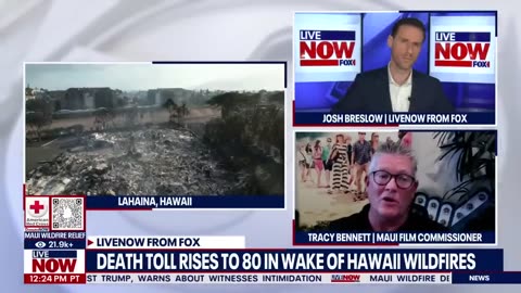 Destruction rate at Hawaii wildfires