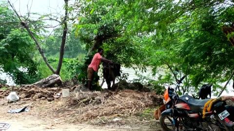 Poor Women s Hut In A Village In India || Life Of Uttar Pradesh || #UttarPradesh