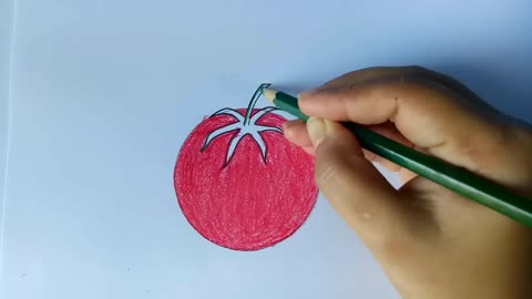 How to draw a tomato step by step (very easy) __ drawing __ art video