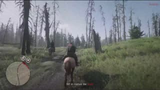 Red Dead Redemption Online