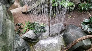 Rock Garden Waterfall