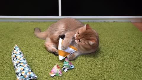 Catnip pyramid-toy!